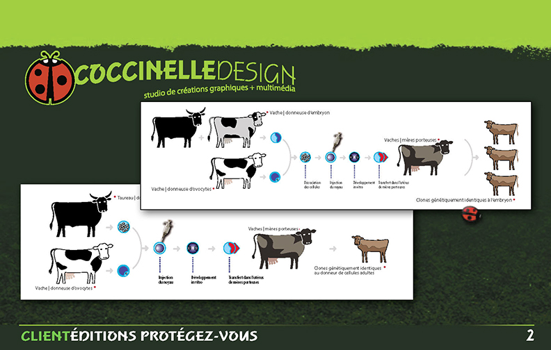 Portfolio Design - 12 pages